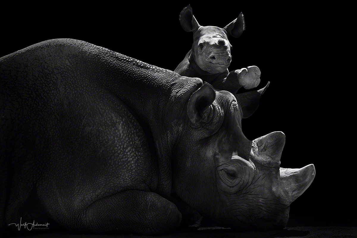 100723-03374-hello_world   Wolf Ademeit